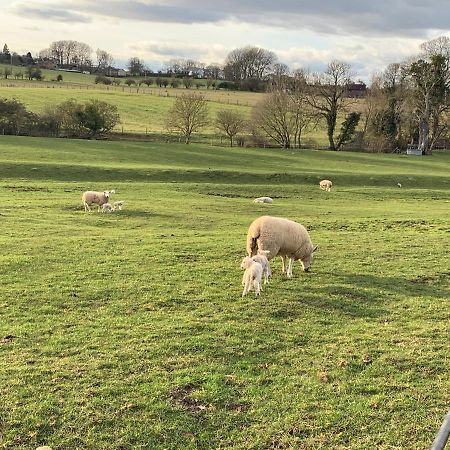 白金汉Weatherhead Farm Shepherds Hut别墅 外观 照片