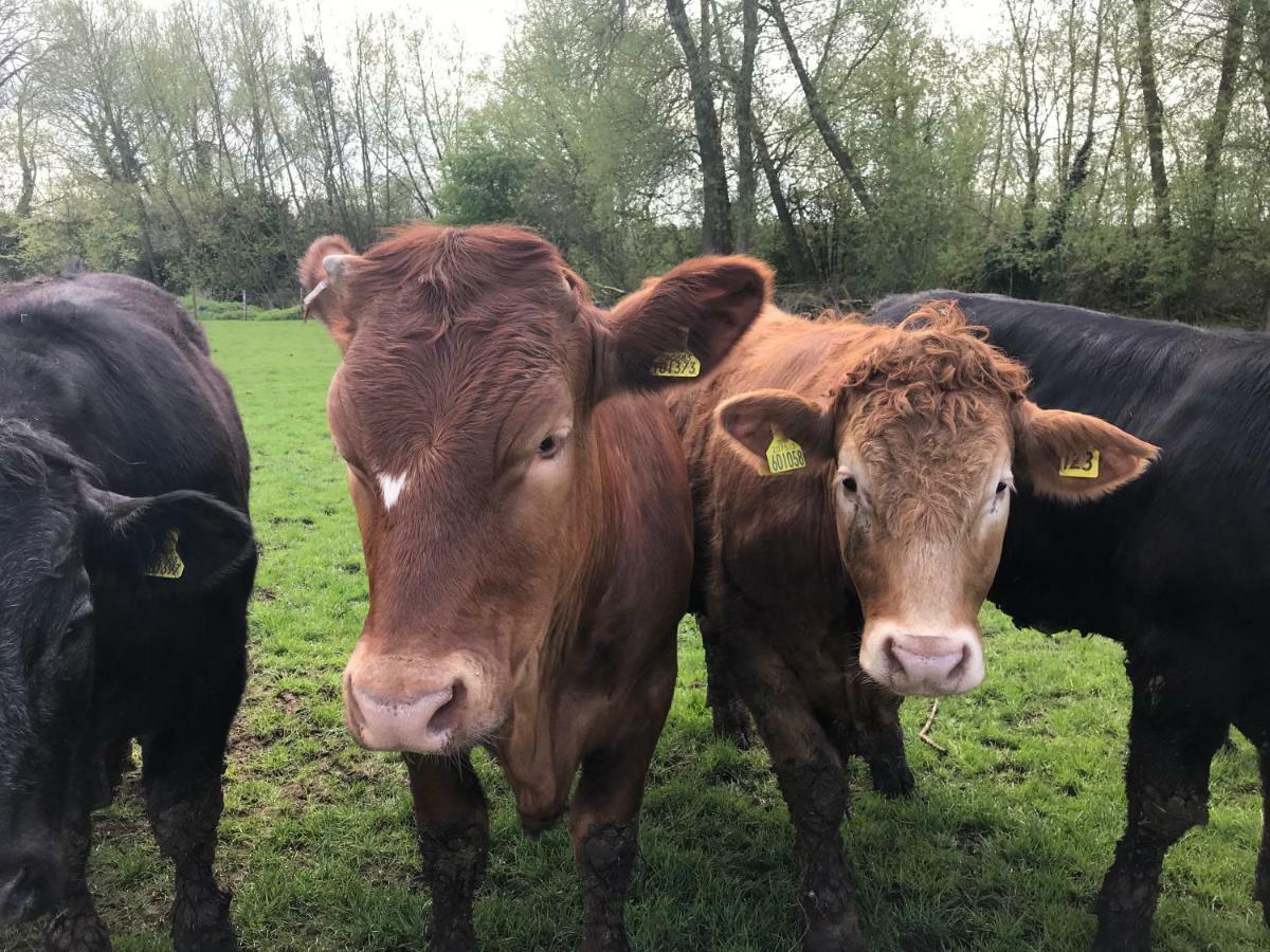 白金汉Weatherhead Farm Shepherds Hut别墅 外观 照片