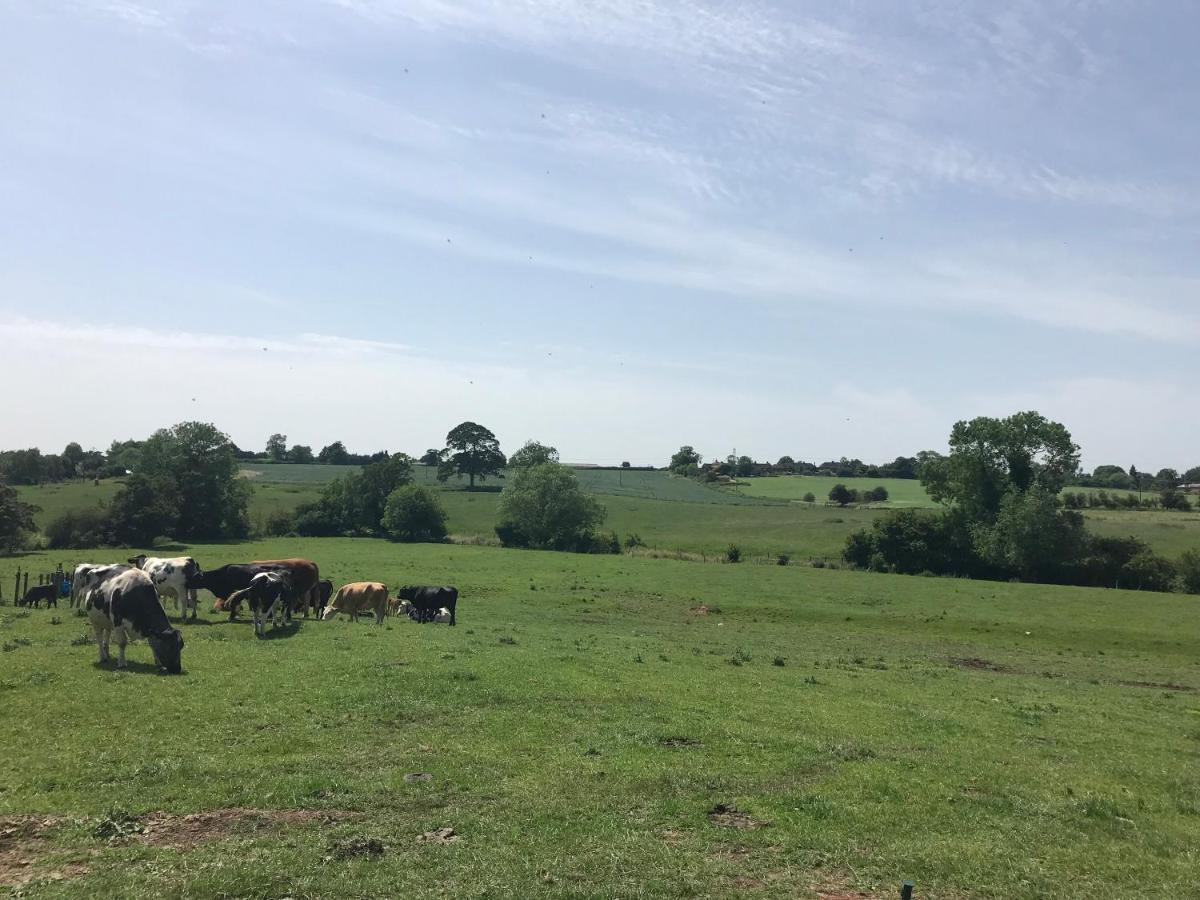 白金汉Weatherhead Farm Shepherds Hut别墅 外观 照片